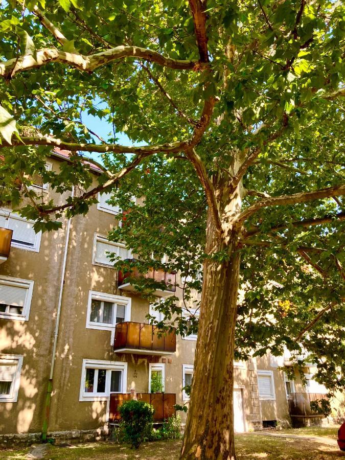 Esther Apartman Tatabanya Tatabánya Exterior photo